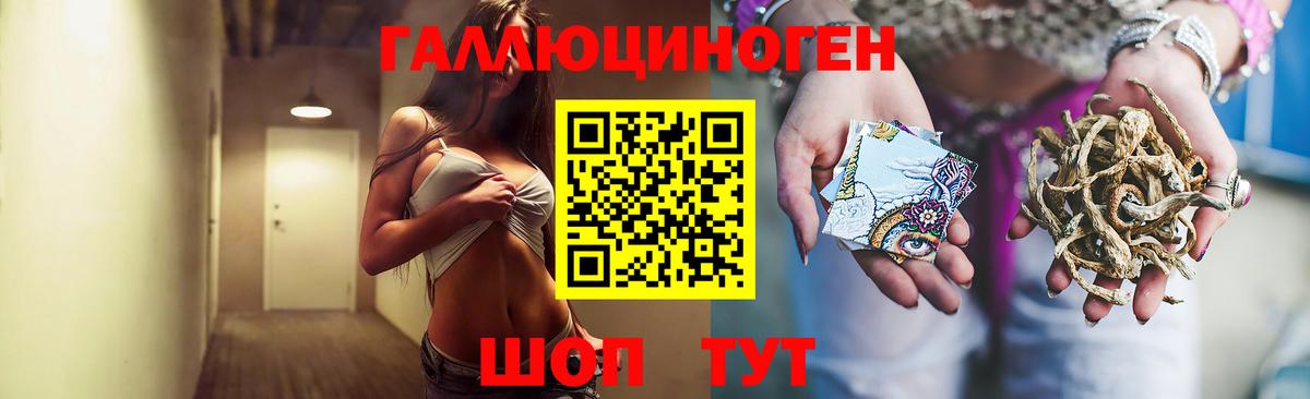 Псилоцибиновые грибы прущие грибы Нововоронеж
